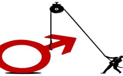 Segismundo y la Disfuncion Erectil