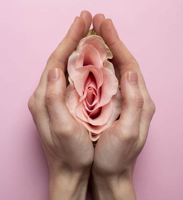mujer sosteniendo rosa manos visualización sistema reproductivo